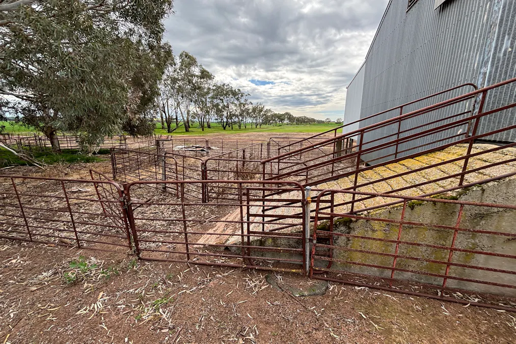 2902 Bratten Way, Cummins, SA, 5631 - Image 27
