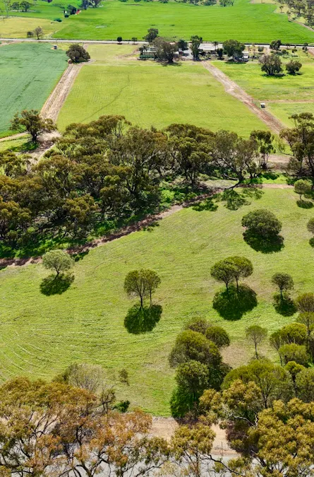 Lot 803 Trews Road, Daliak, WA, 6302 - Image 2