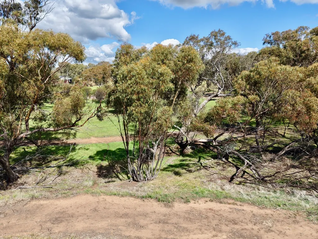 Lot 803 Trews Road — photo 13 of 23