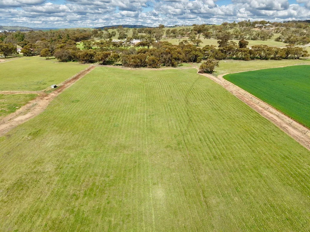 Lot 803 Trews Road — photo 3 of 23