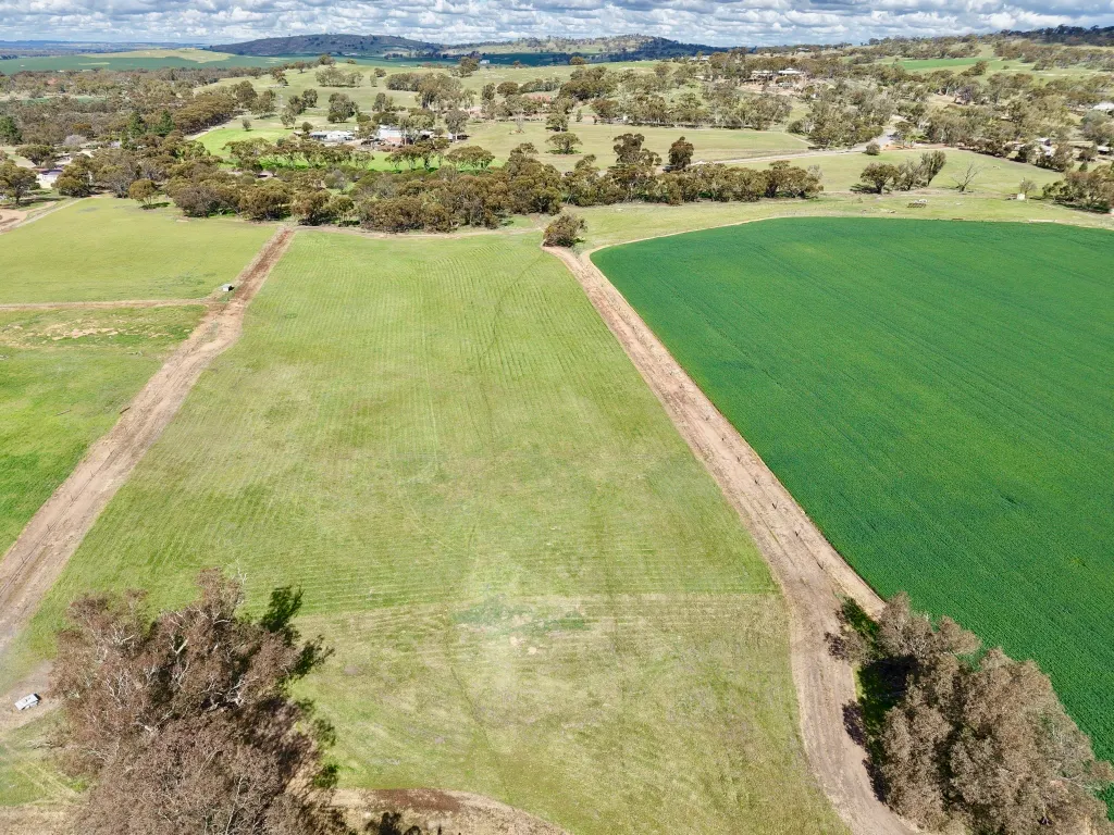 Lot 803 Trews Road — photo 4 of 23