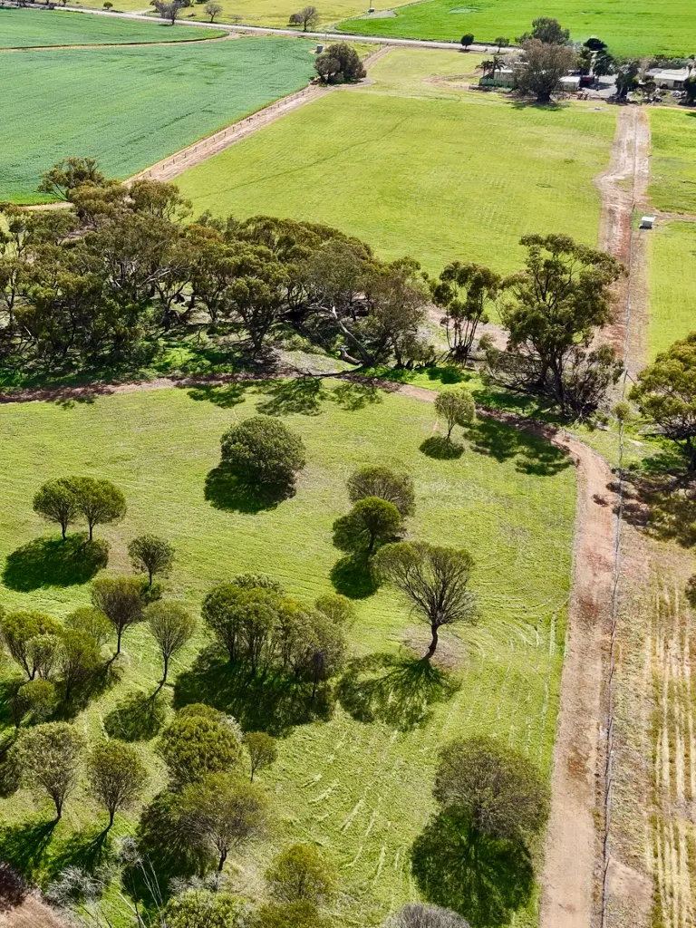Lot 803 Trews Road — photo 19 of 23
