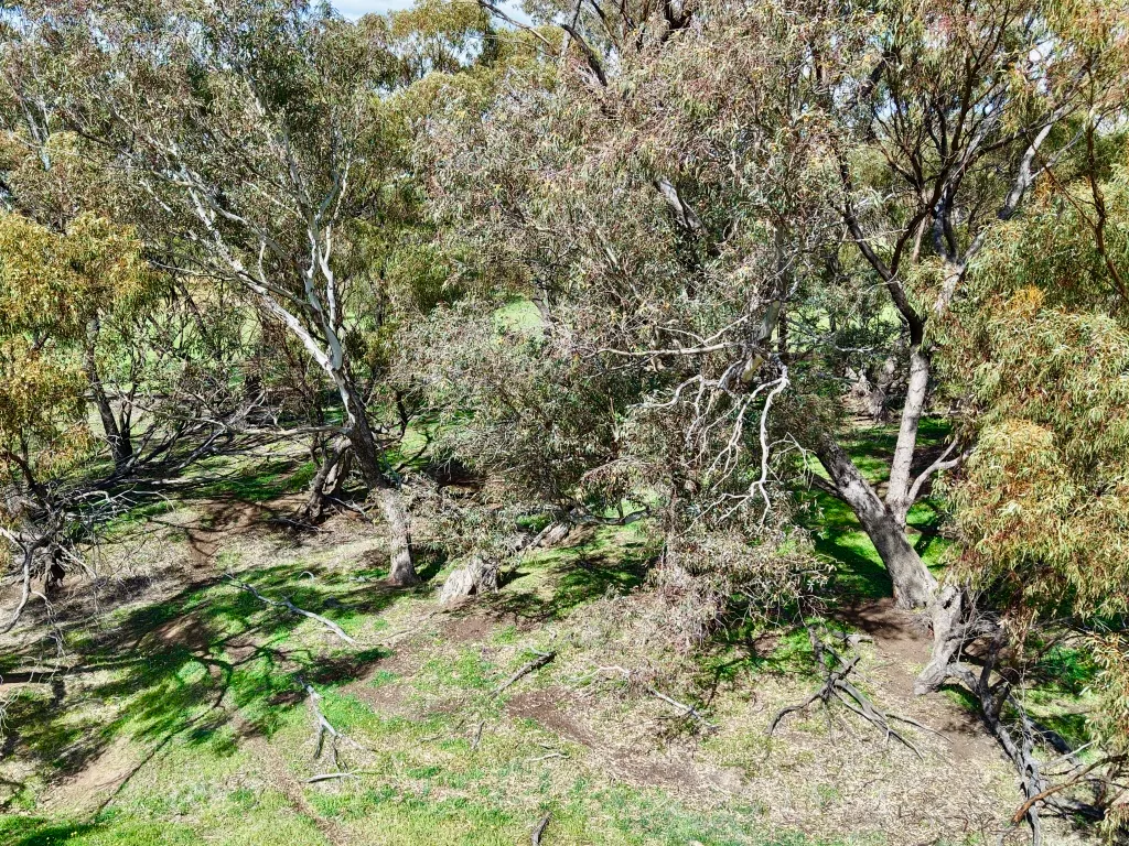 Lot 803 Trews Road — photo 16 of 23