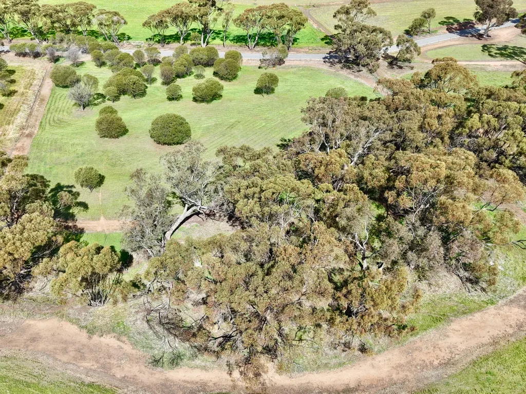 Lot 803 Trews Road — photo 15 of 23