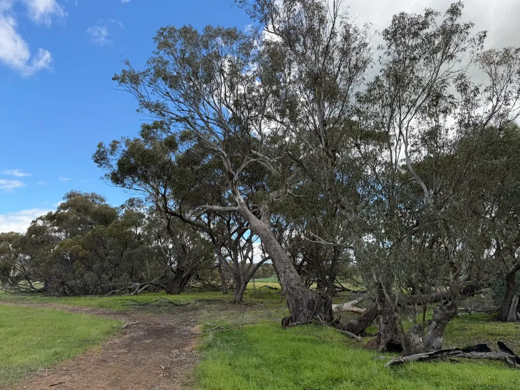 Lot 803 Trews Road — photo 14 of 23
