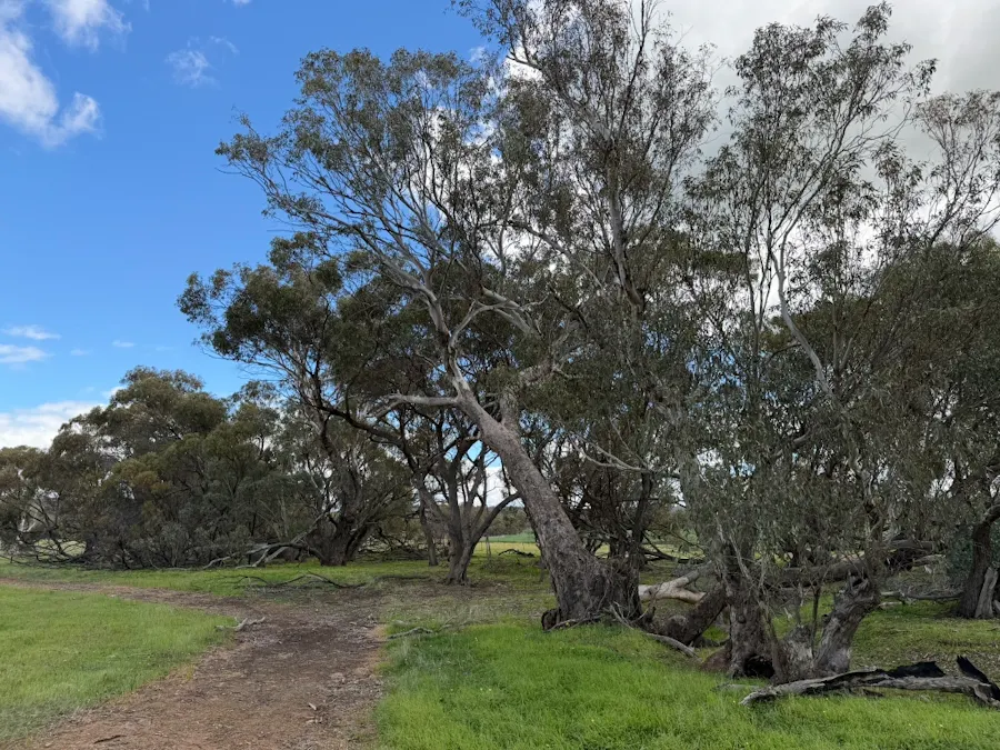 Lot 803 Trews Road, Daliak, WA, 6302 - Image 14