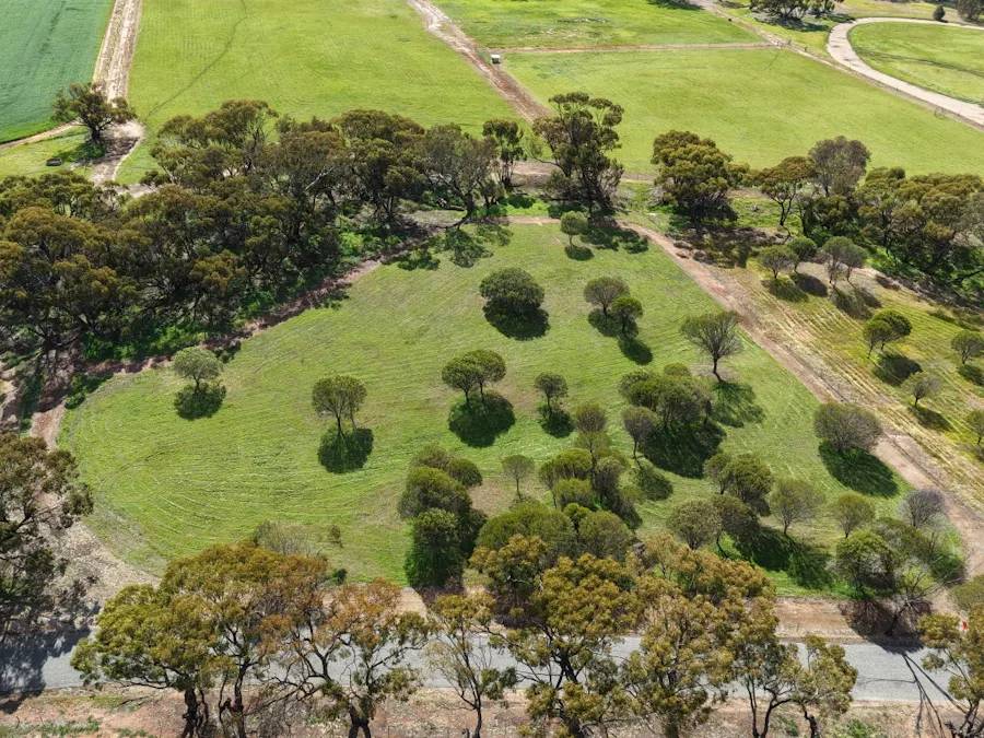Lot 803 Trews Road, Daliak, WA, 6302 - Image 6