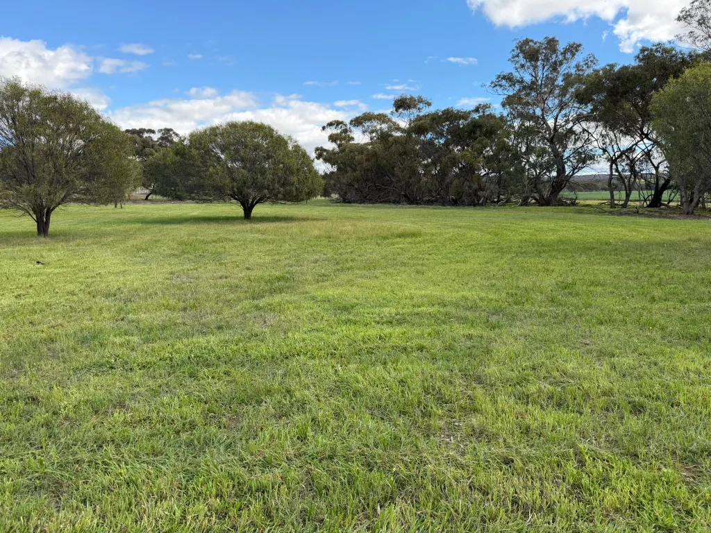 Lot 803 Trews Road — photo 7 of 23