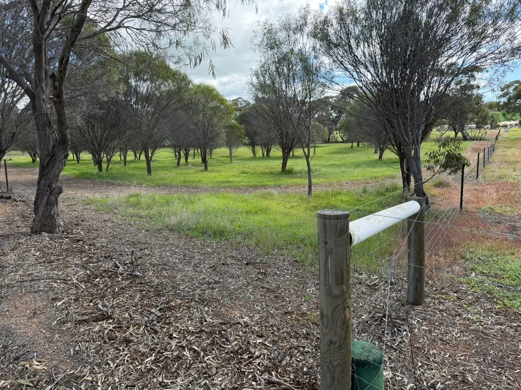 Lot 803 Trews Road — photo 12 of 23