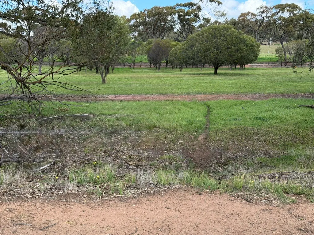 Lot 803 Trews Road — photo 20 of 23