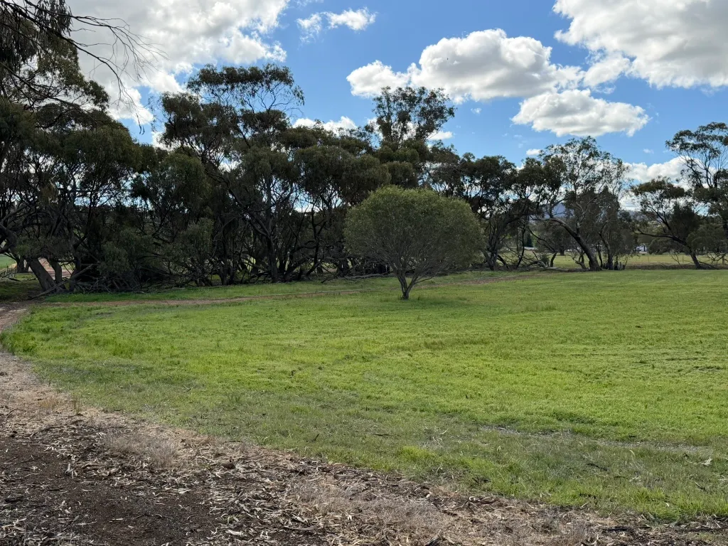 Lot 803 Trews Road — photo 10 of 23