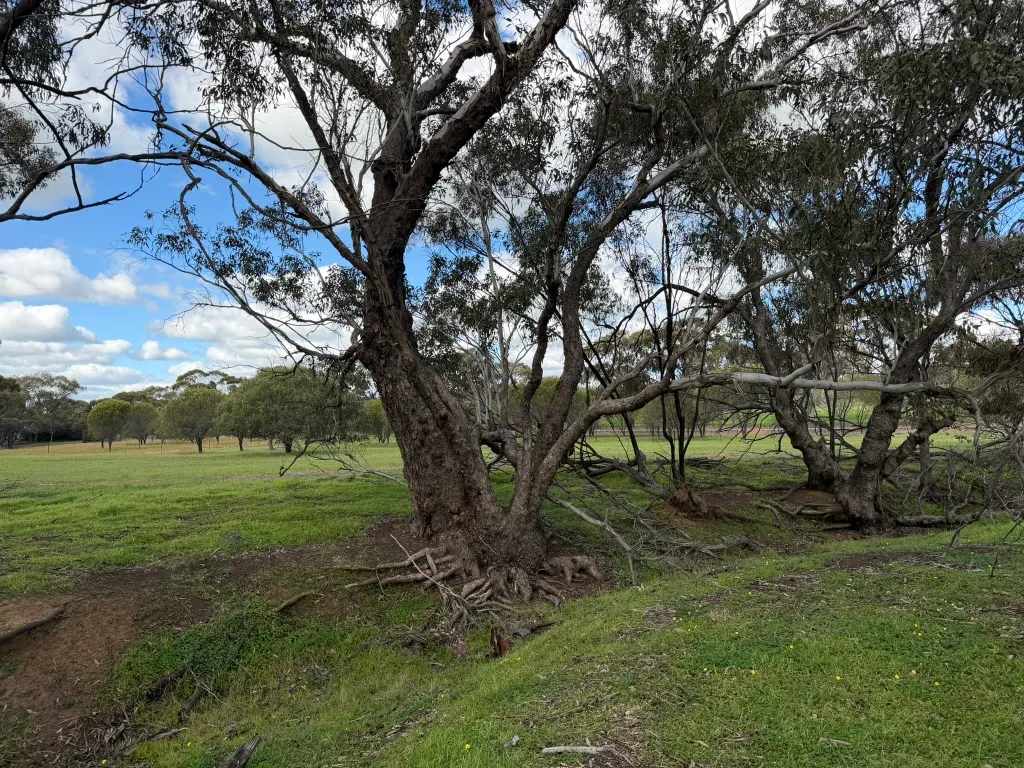 Lot 803 Trews Road — photo 17 of 23