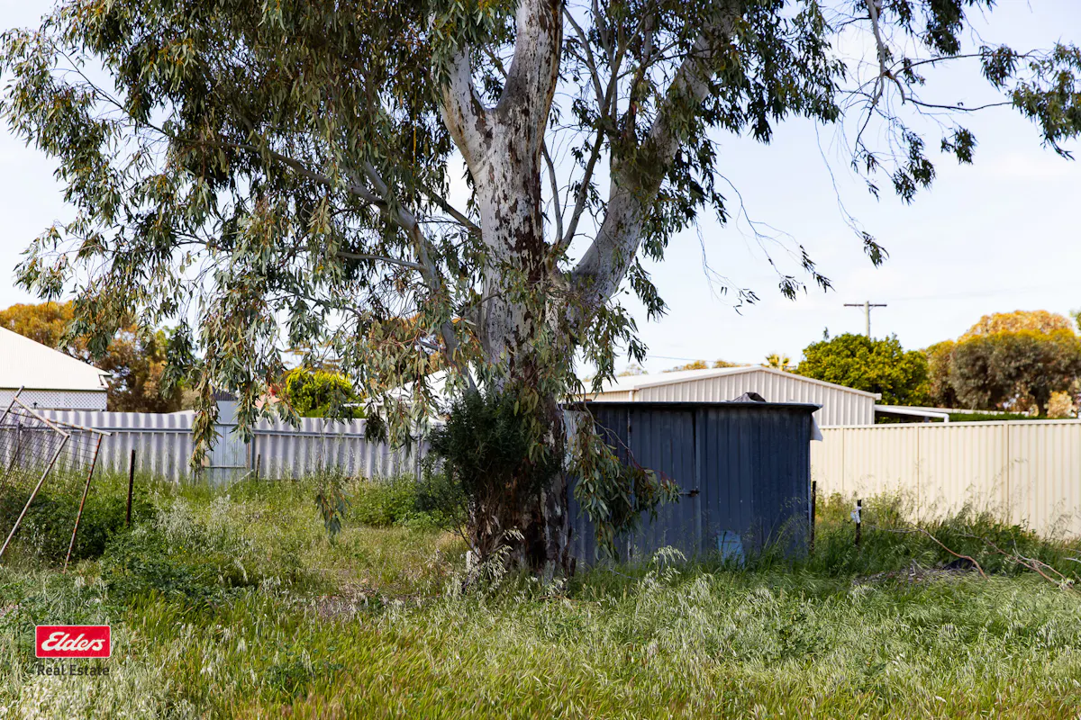 13 Westral Street — photo 7 of 7