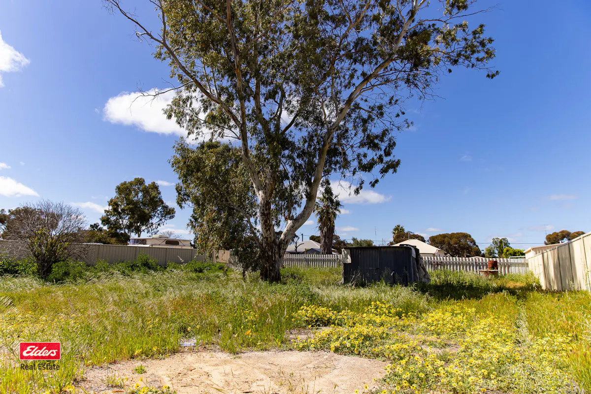 13 Westral Street — photo 3 of 7