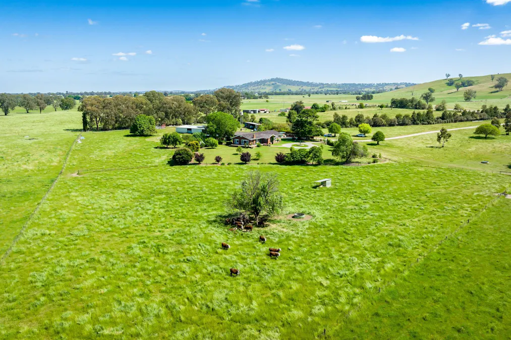 3223 Riverina Highway, Bungowannah, NSW, 2640 - Image 5