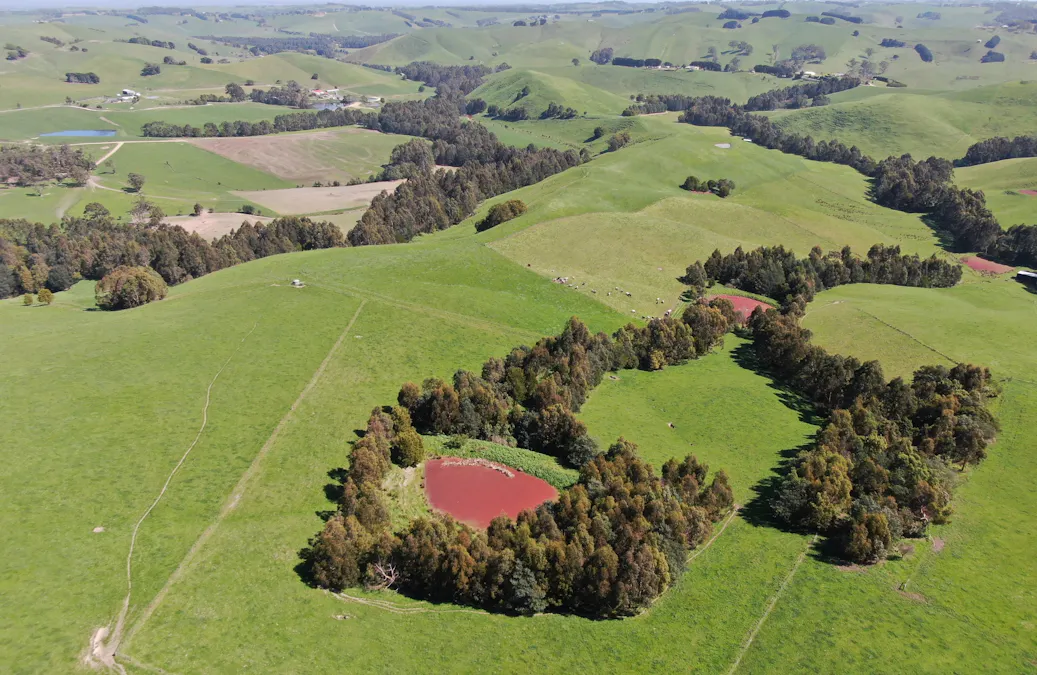 275 Anderson Inlet Road, Moyarra, VIC, 3951 - Image 3