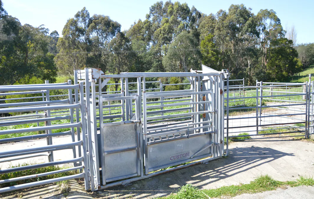 275 Anderson Inlet Road, Moyarra, VIC, 3951 - Image 17