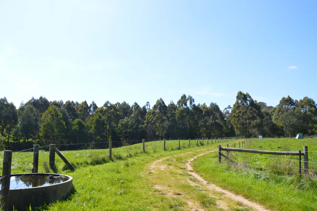 275 Anderson Inlet Road, Moyarra, VIC, 3951 - Image 23