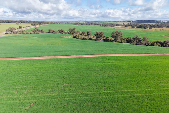 1431 Boyup Brook-Kojonup Road, Mayanup, WA, 6244