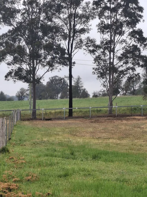 5 Livingstone Street, Wingen, NSW, 2337 - Image 2
