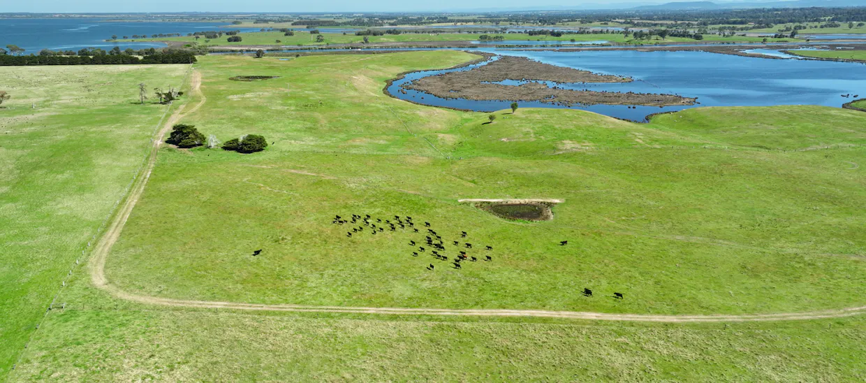 216 Ellasville Road, Nicholson, VIC, 3882 - Image 21