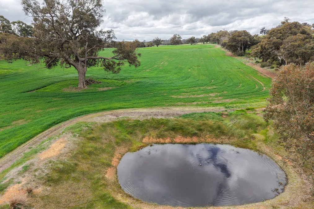 82 Dorrington Road, Muradup, WA, 6394 - Image 3