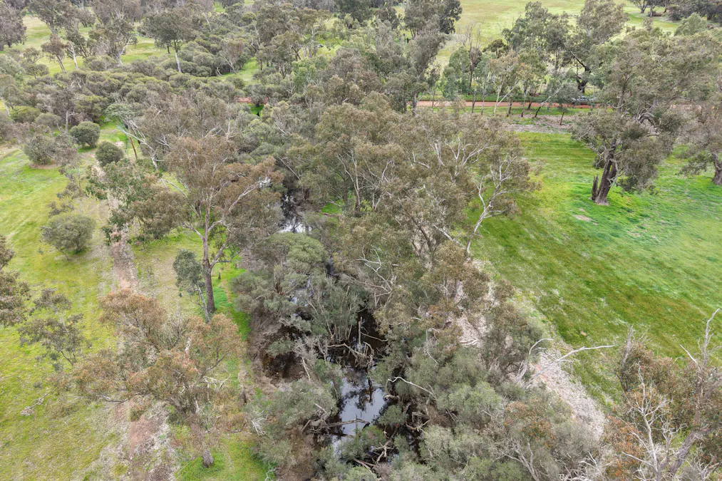 82 Dorrington Road, Muradup, WA, 6394 - Image 13