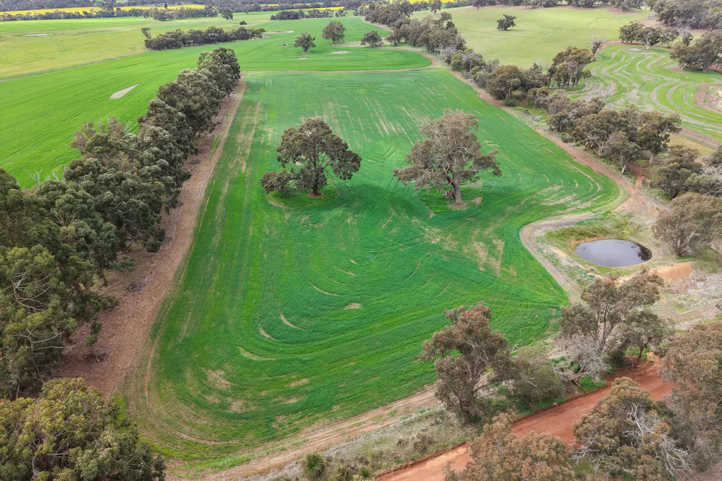 82 Dorrington Road, Muradup, WA, 6394 - Image 2