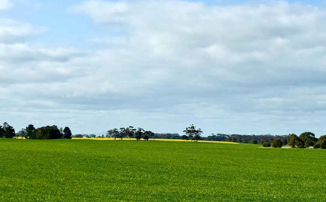 720 Estate Road, Lake Bolac, VIC, 3351 - Image 24