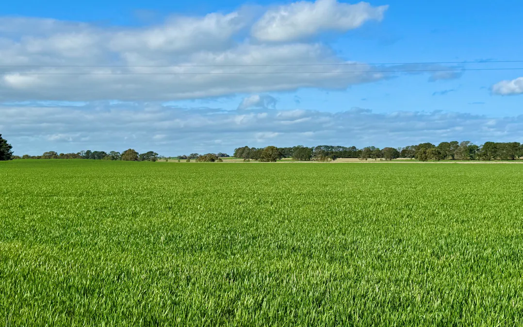 720 Estate Road, Lake Bolac, VIC, 3351 - Image 17