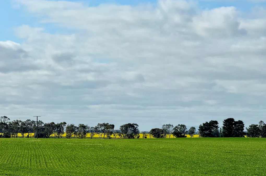 720 Estate Road, Lake Bolac, VIC, 3351 - Image 11
