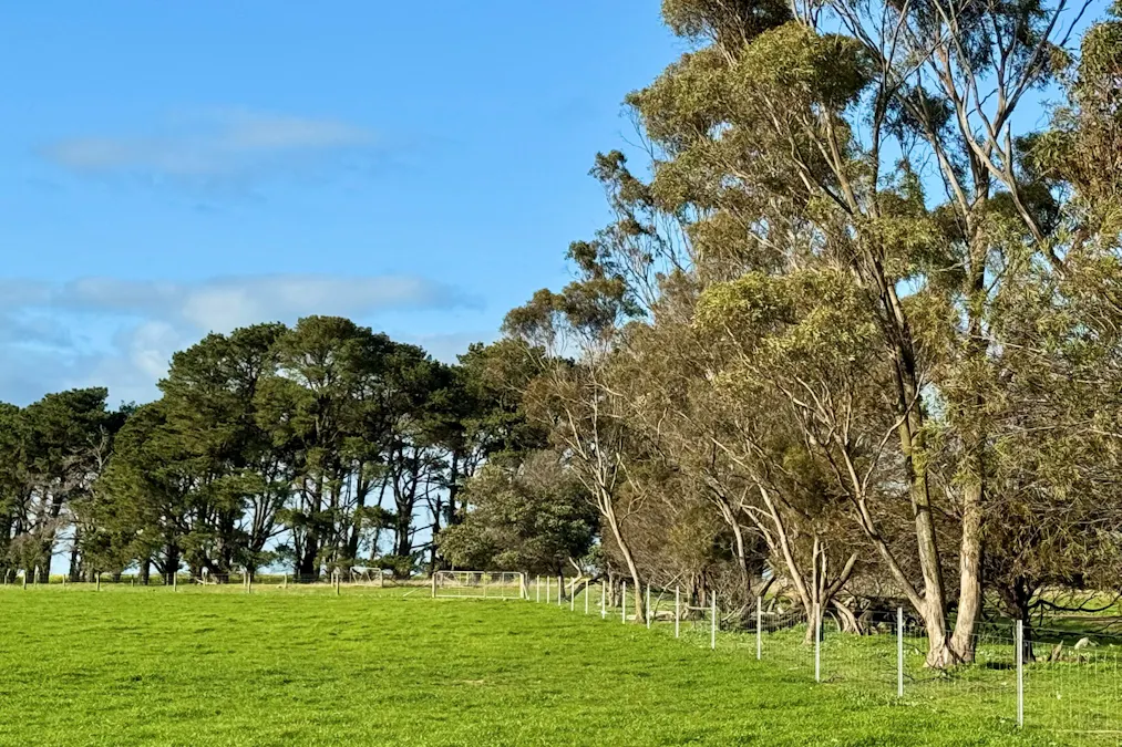 720 Estate Road, Lake Bolac, VIC, 3351 - Image 28