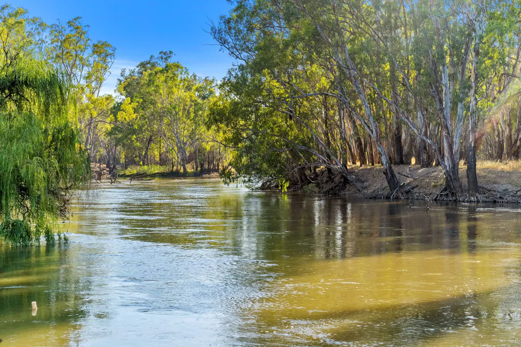 92A Boiling Down Lane, Corowa, NSW, 2646 - Image 2