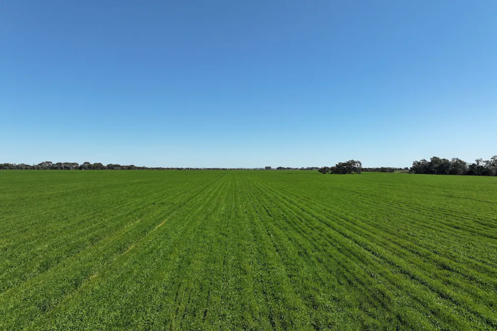 1630 Winlaton Road, Winlaton, VIC, 3585 - Image 26