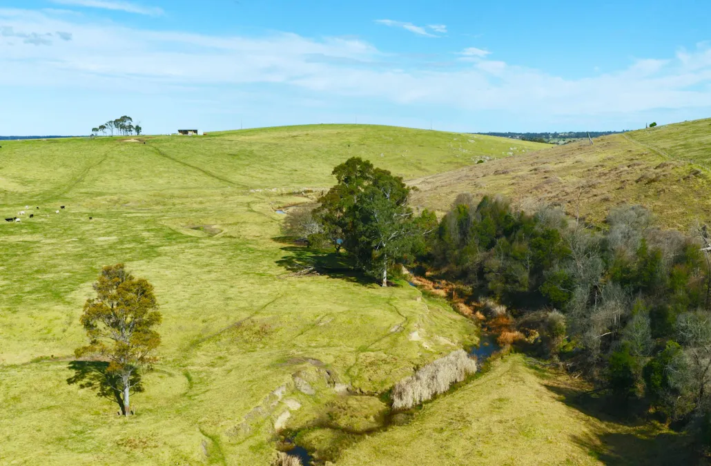 424 Princes Highway, Orbost, VIC, 3888 - Image 7