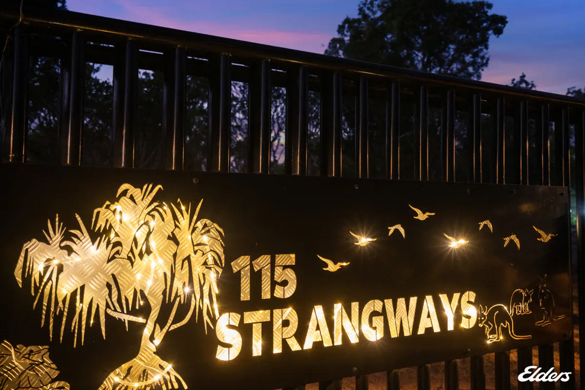 115 Strangways Road — photo 30 of 30