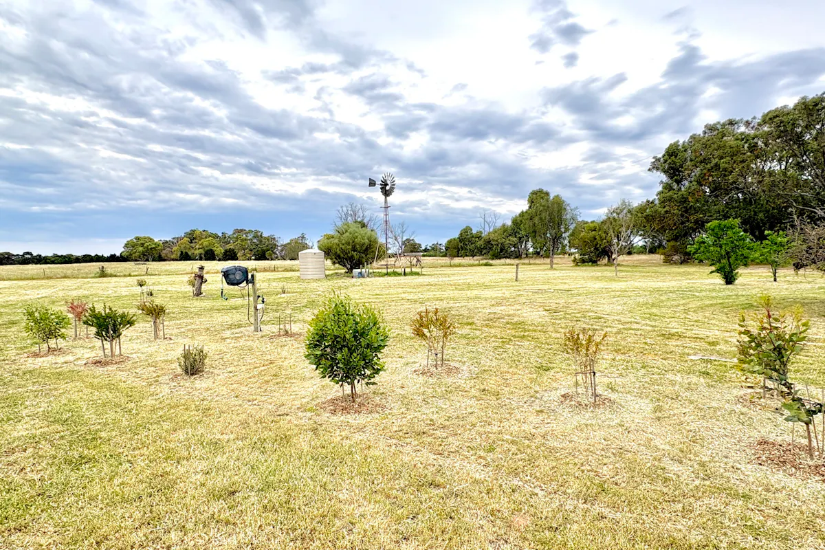 15490 Birdseye Highway — photo 7 of 30