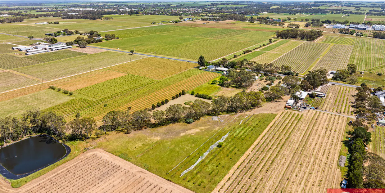 224 Research Road, Tanunda, SA, 5352 - Image 9