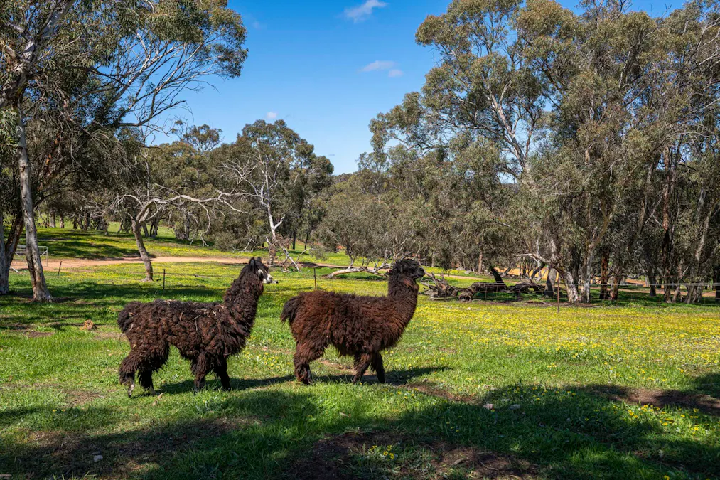 Bindoon, WA, 6502 - Image 10