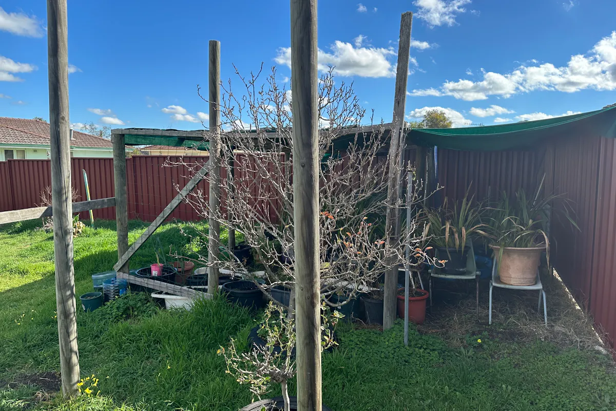 9 Beeck Street — photo 15 of 19