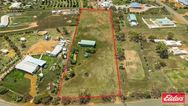31 Border Drive — photo from Elders Real Estate Western Australia