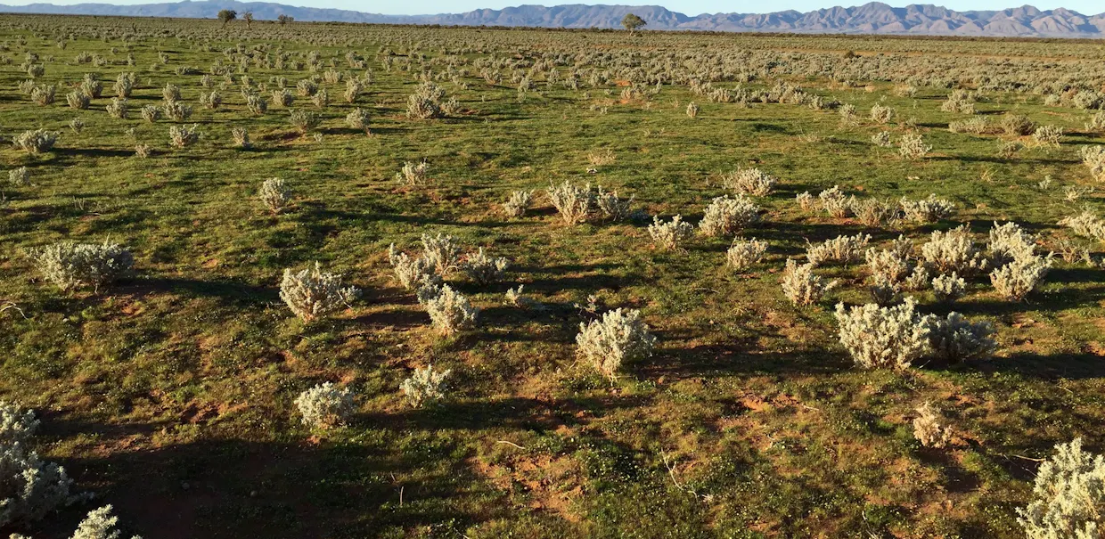 Outback Highway, Parachilna, SA, 5730 - Image 23