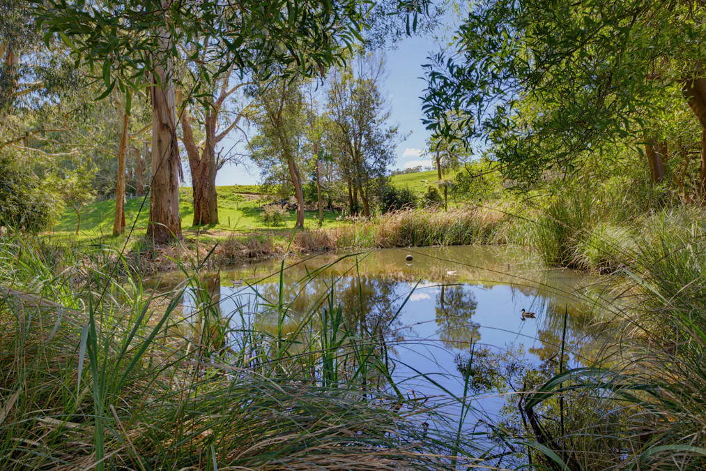 21 Webbs Lane, Mirboo, VIC, 3871 - Image 19