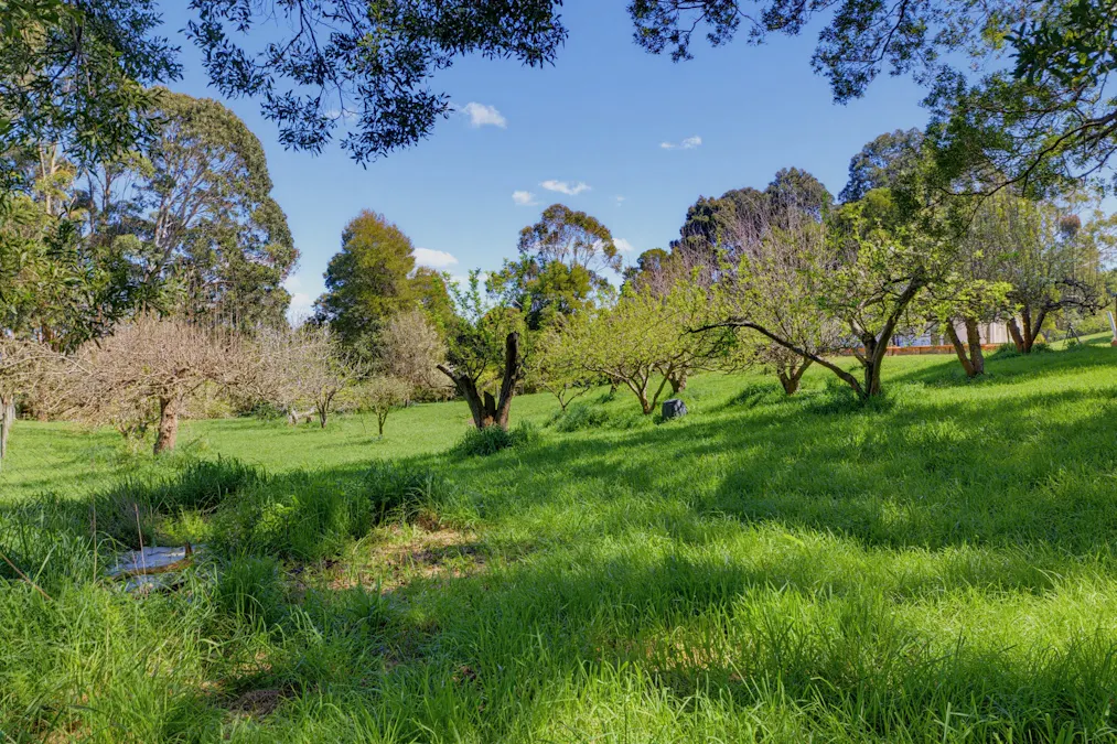 21 Webbs Lane, Mirboo, VIC, 3871 - Image 22