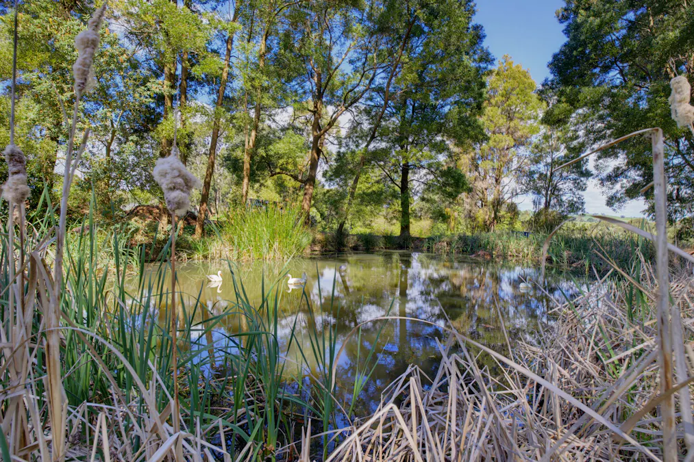 21 Webbs Lane, Mirboo, VIC, 3871 - Image 24