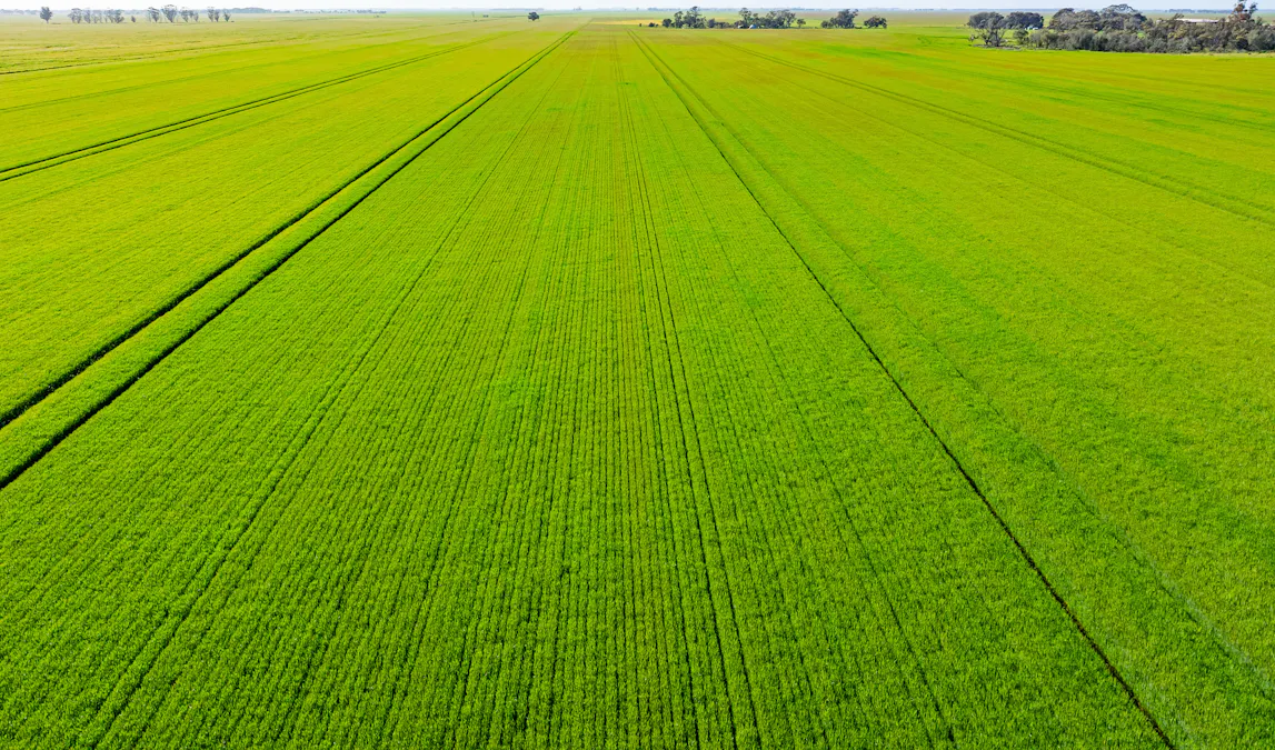 'Cobranette' 1802 Caldwell Line Road, Caldwell, NSW, 2710 - Image 7