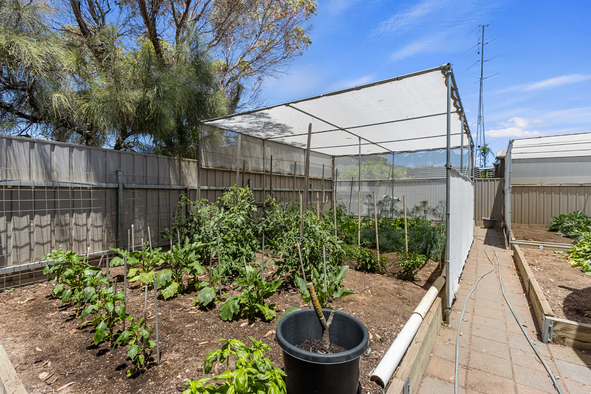 1 Capella Court — photo 26 of 28