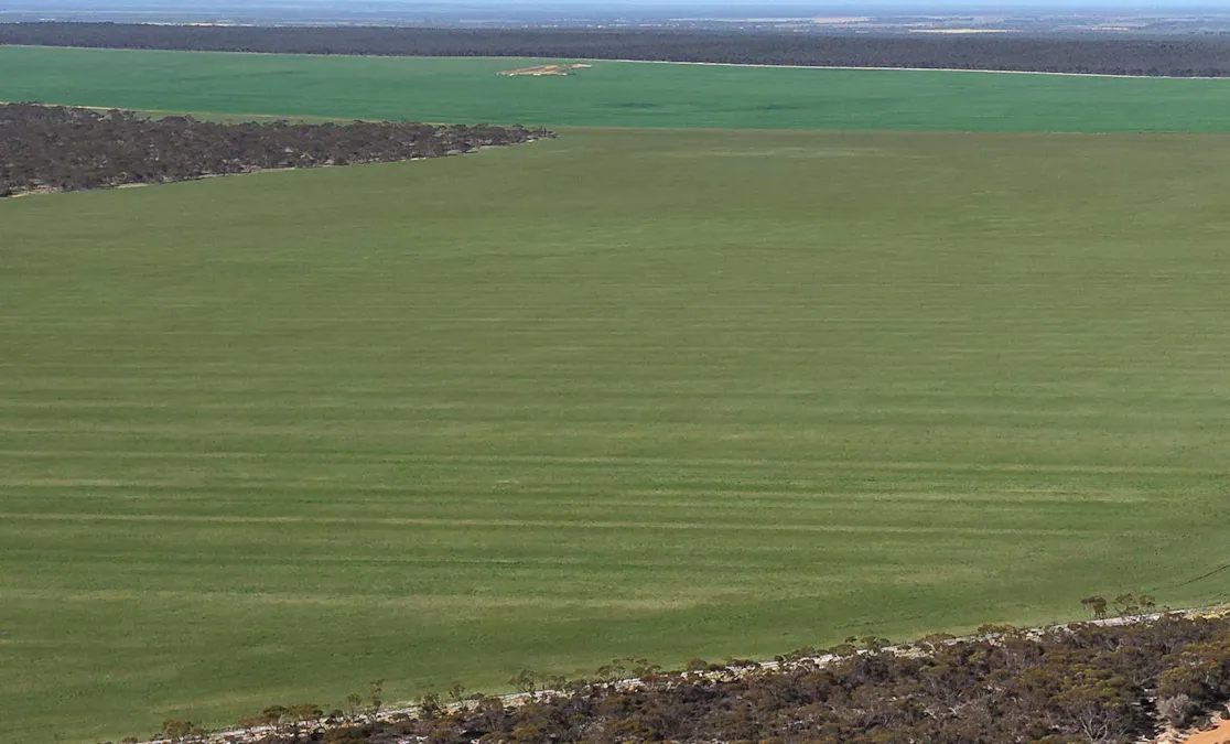 1663 Lake North Road, Jacup, WA, 6337 - Image 20