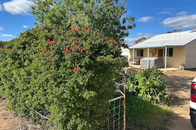 35 Allenby Street — photo from Elders Real Estate - Northam and Toodyay Specialists