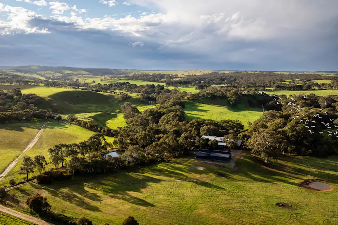 Braeside Road, Finniss, SA, 5255